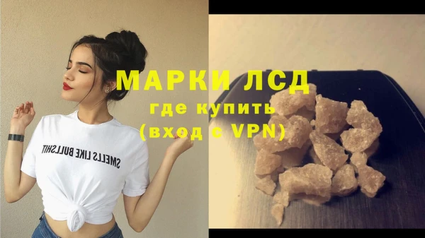ПСИЛОЦИБИНОВЫЕ ГРИБЫ Вяземский