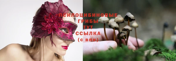 ПСИЛОЦИБИНОВЫЕ ГРИБЫ Вяземский