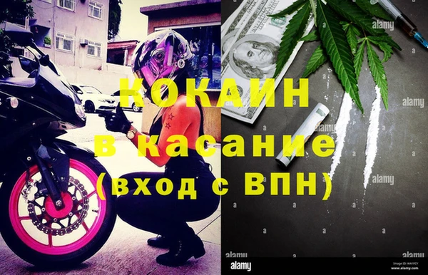 ПСИЛОЦИБИНОВЫЕ ГРИБЫ Вяземский