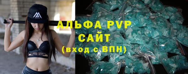 ПСИЛОЦИБИНОВЫЕ ГРИБЫ Вяземский
