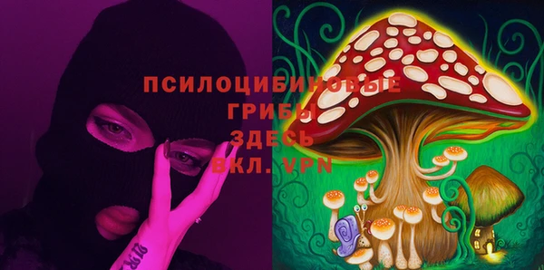 бутират Горно-Алтайск